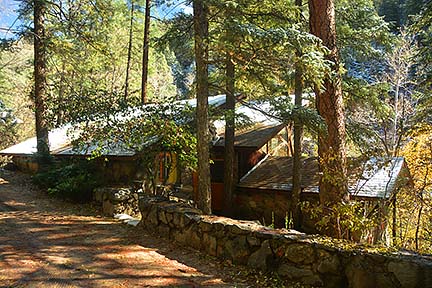 Forest Houses, November 2015